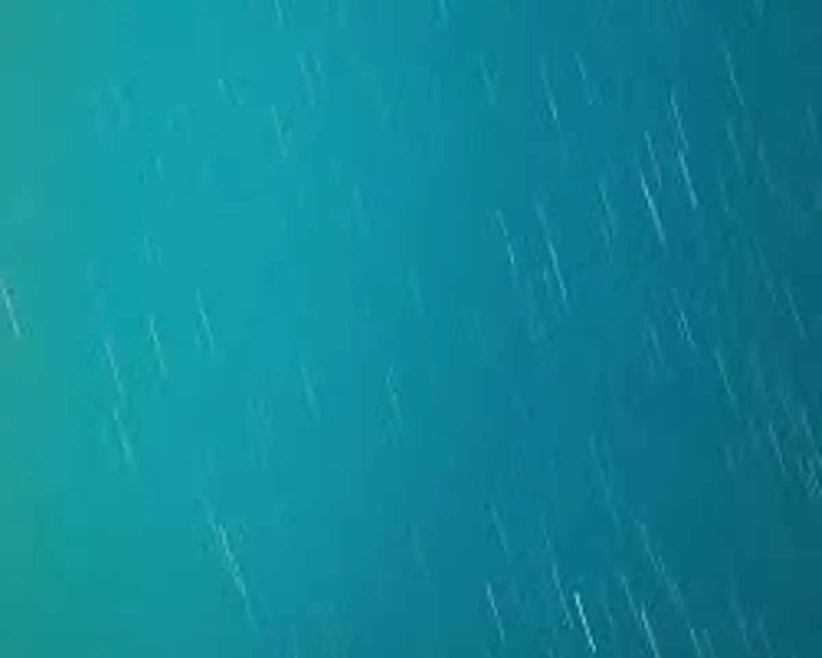 High-Performance Digital Marketing Showcase